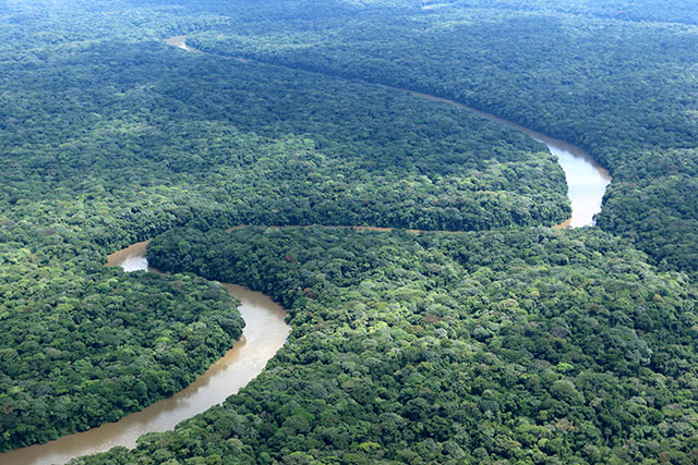 RDC : Le DG du Fonds Forestier National accusé de « mégestion »