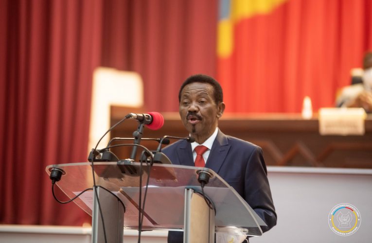 RDC/Assemblée Nationale/Affaire Jeeps aux députés nationaux : la population appelée à ne pas se laisser manipuler