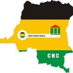 RDC : le CNC affligé par la disparition de Kitenge Yesu