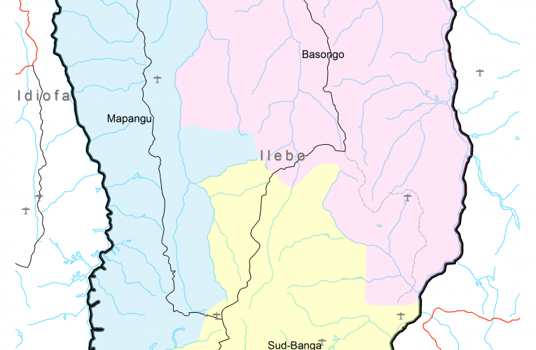 RDC/ Kasaï : La situation sécuritaire dans le territoire d’Ilebo devient alarmante