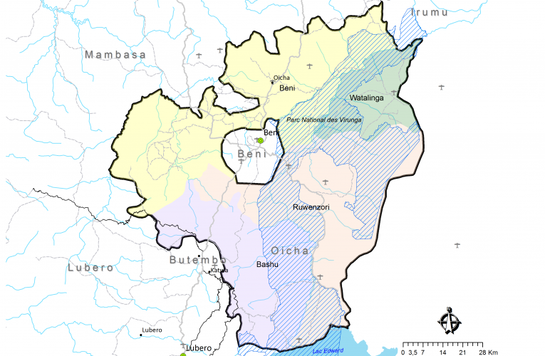 RDC/ NORD-KIVU : un homme retrouvé égorgé à Mikole(BASHU)