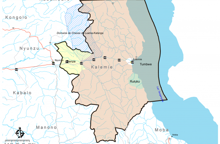 RDC/Tanganyika : Les Maï Maï cèdent à la pression des forces de sécurité et des FARDC