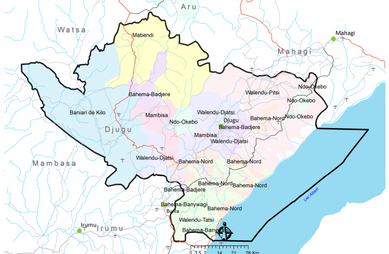 RDC/ Ituri : meurtre d&rsquo;un homme et incendie des maisons et d&rsquo;un camp militaire dans l&rsquo;actif des ADF