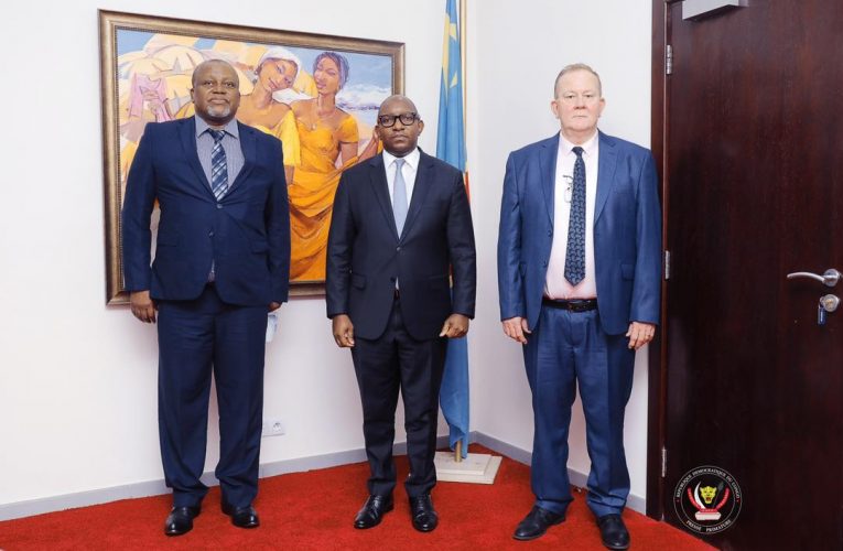 RDC/Primature :Le Premier Ministre Jean-Michel Sama Lukonde a échangé avec le Directeur général de Pharmaquina sur la diversification de l’économie congolaise partant du secteur agronomique