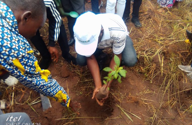RDC/ Journée internationale de la forêt, plusieurs centaines d’arbres plantés ce lundi 21 mars 2022 à KABINDA