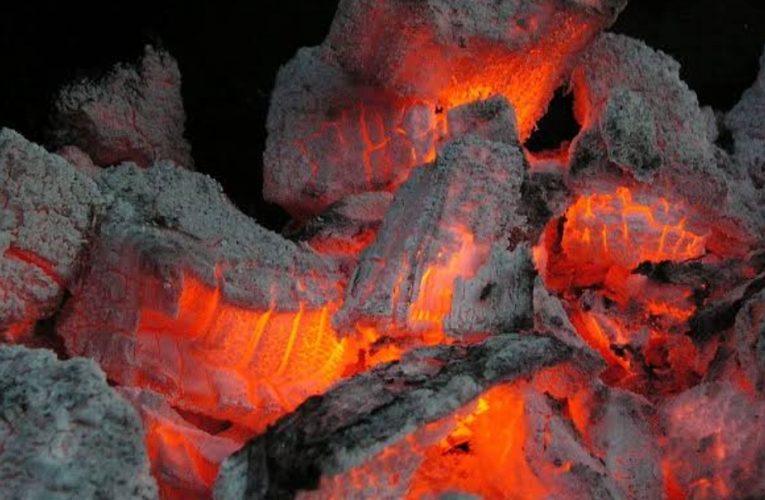 RDC/Kasaï-Central : Baisse sensible du prix des charbons (braises) dans certains marchés de la ville de Kananga