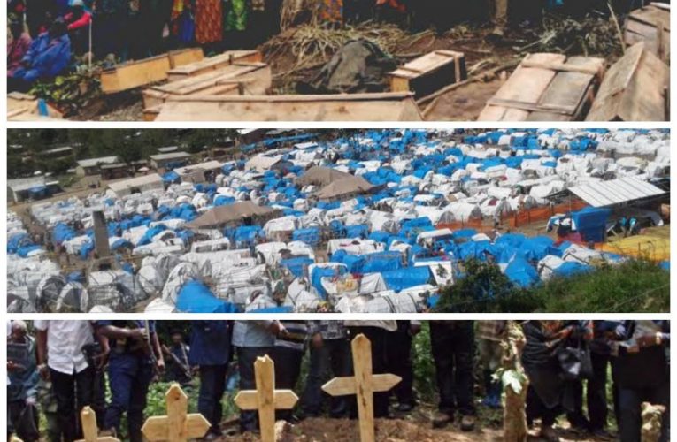 RDC : Combien de mètres cube de sang faut-il pour que la paix revienne dans la partie Est ?