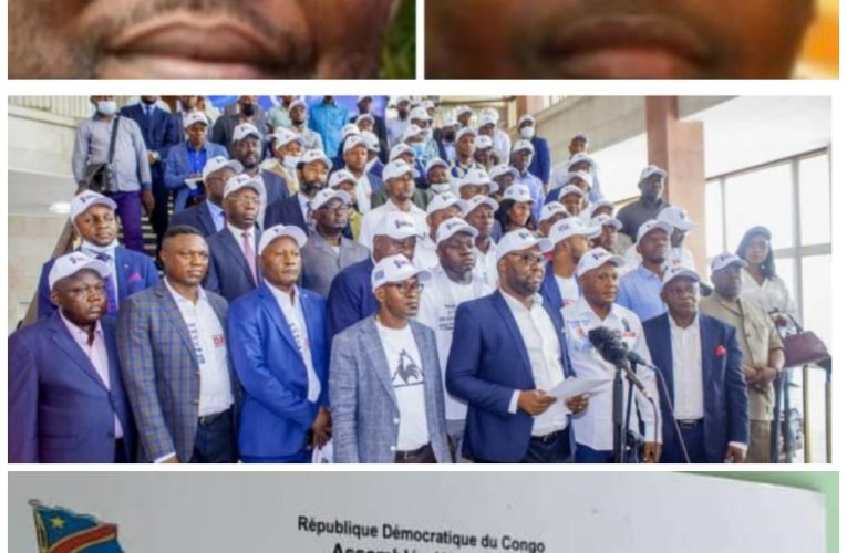 RDC/SNEL:Deux députés nationaux, Kodoro et Pululu se disputent déjà le fauteuil de Fabrice Lusinde
