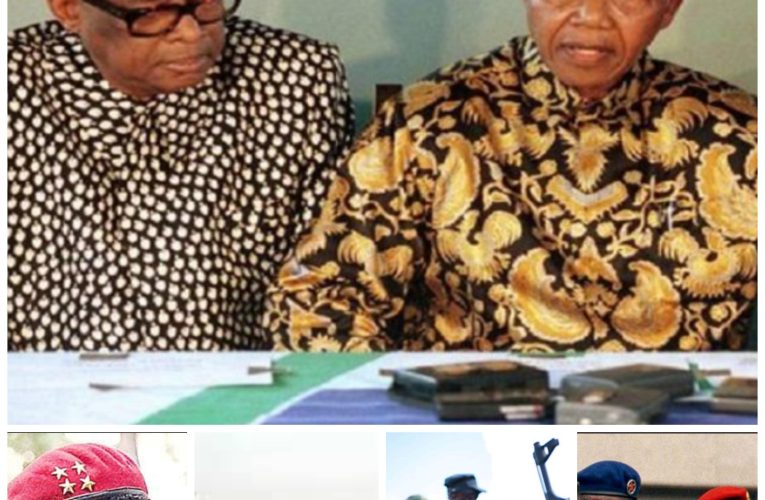 Afrique/ : Tsunami politique dans la région de Grands Lacs et en Afrique Centrale des années 90 à 2002. [Tribune]