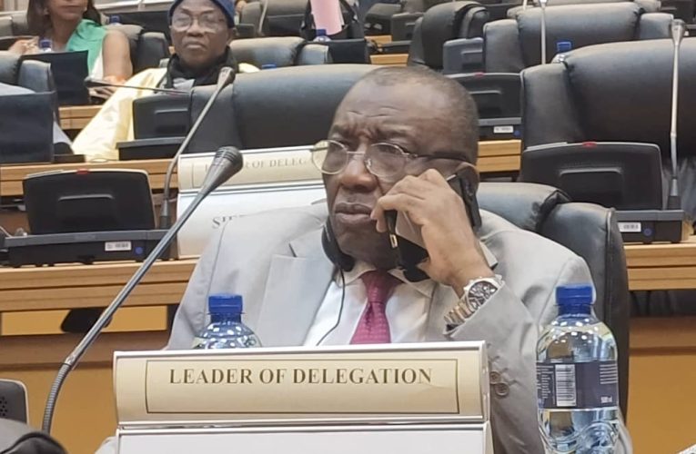 AFRIQUE DU SUD : JACQUES DJOLI ESENG’EKELI A REPRÉSENTÉ LA RDC À L’OUVERTURE DE LA 4ÈME SESSION ORDINAIRE DE LA 6 ÈME LÉGISLATIVE DU PARLEMENT PANAFRICAIN