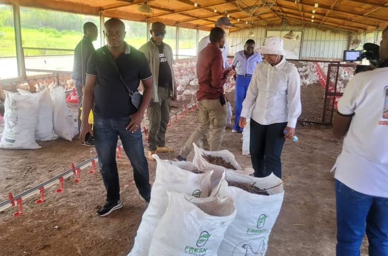 RDC/Haut Katanga : En inspection de ses champs, Marie Olive Lembe Kabila plaide en faveur des producteurs locaux