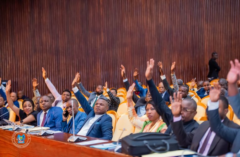 RDC/ASSEMBLÉE NATIONALE : LA PLÉNIÈRE ADOPTE 5 LOIS D’HABILITATION ET DÉCLARE RECEVABLE LE RAPPORT DU BUREAU SUR LES INITIATIVES PARLEMENTAIRES