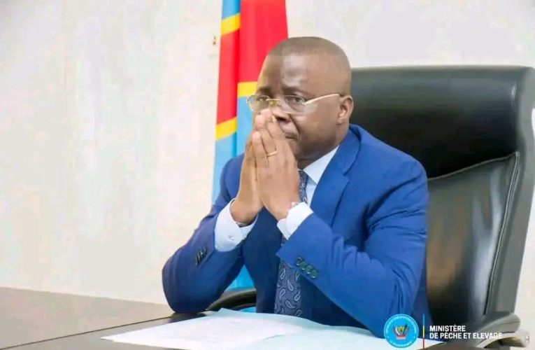RDC/Kasaï : L&rsquo;arrivée du ministre Jean-Pierre Tshimanga Buana à Tshikapa reportée à lundi