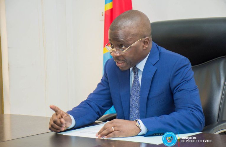 RDC/Pêche et élevage/Jean-Pierre Tshimanga Buana fait des révélations troublantes,les navires achetés à 15 millions de dollars inadaptés aux eaux du pays